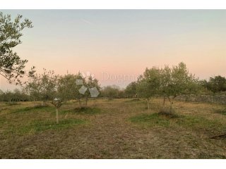 BALE – maslinik i šuma 3 km od mora