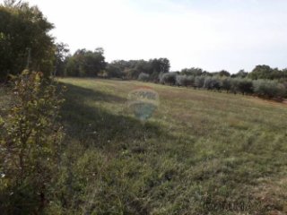 ISTRA,DIVŠIĆI,GRAĐEVINSKO ZEMLJIŠTE