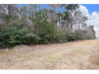 Farm House For Sale: A0467 Reynolds..