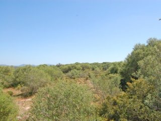 Plot With Partial Sea Views In Sa Torre