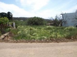 Land In Afrata