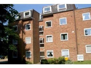 2 bed flat to rent