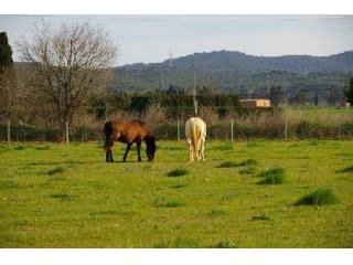 3 Bedrooms - Country House - Girona -..