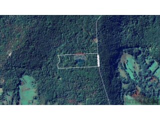 MATULJI - BRDCE - ŠUMA - 17.200 m2