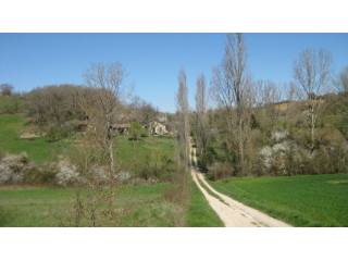 Petit Paradis Avec 7,5ha De Terrain..