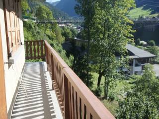 2 bedrooms apartment renovated