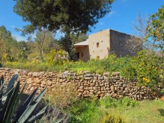 The authentic finca in Ibiza countryside