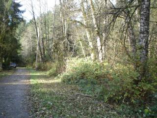 Land - Great private land for..