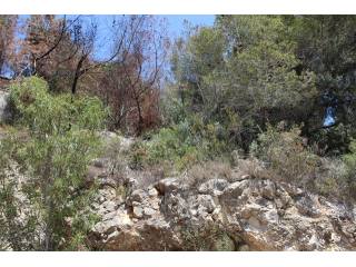 Plot in Javea