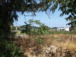 Crete Property