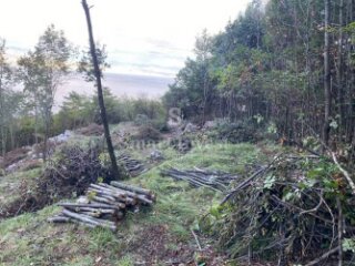 LOVRAN, građevinsko zemljište od 3055 m2 s pogledom na more