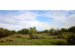 Perfect Plot for the Villa of Your..