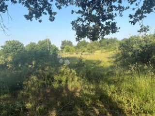 Poljoprivredno zemljište Jurcani 27000 m² -Investicijska pri
