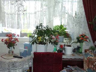 Apartment in Albena