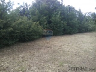 ISTRA, PINEZIĆI GRAĐEVINSKO ZEMLJIŠTE