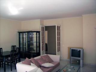 Spacious and luxurious apartment in..