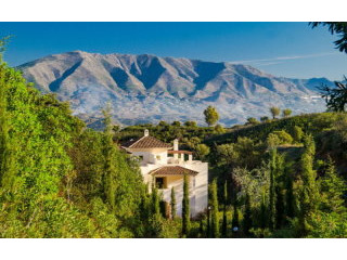Garden Apartment For Sale In La Mairena