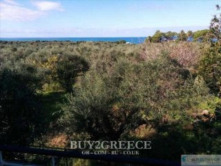 B720 - FOR SALE LAND OF 5 ACRES