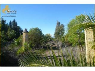 Palmengrundstueck Finca Haus zum..