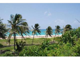 Property For Sale: Paragon Land, Christ..