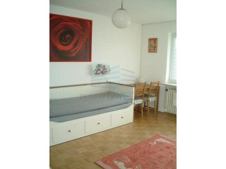 Mobliertes Business Apartment in..