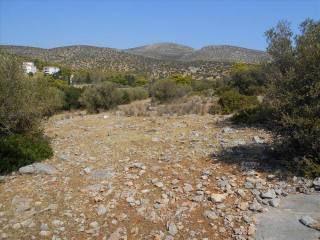 Β201 - Land parcel of 19000 sqm,at Vari..