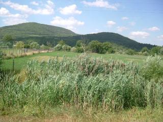 Land for sale in Obrochishte, Albena