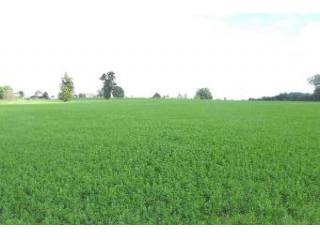 DORDOGNE land a batir of 5000 m2