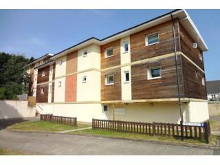 1 bed flat to rent
