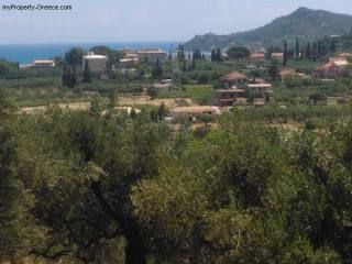 Land w/building licence near Alikes..