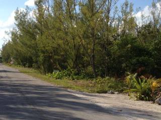 Singlefamilyvacant - Large lot in quiet..