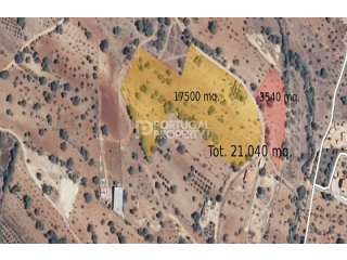 Large piece of land with Ruin Estoi