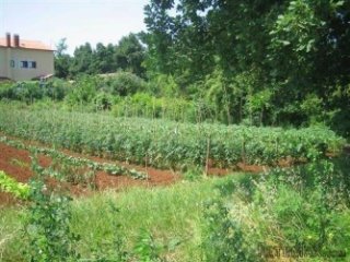 Istra, Umag- Građevinsko zemljište 400m od mora