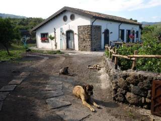 2 bedroom Farm House For Sale: C.da..