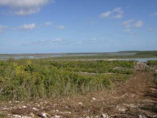 Singlefamilyvacant - This 4-acre lot..