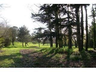 Land For Sale: 79000 BESSINES