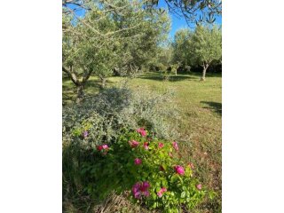 Vaš privatni dašak Mediterana nadomak centra Peroja i plaže