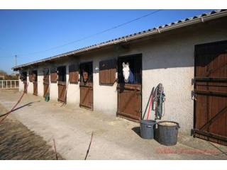 Sauze-Vaussais (79) - Equestrian..