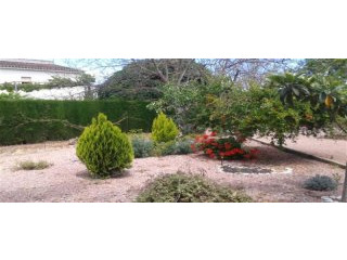 2 Bedrooms - Country House - Alicante -..