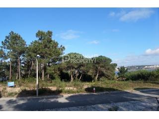 Plot in Obidos Lagoon
