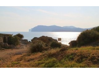 plot for sale in costa de la calma -..