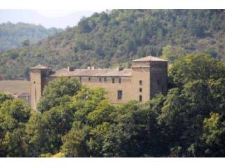 XVIIth C. Chateau To Renovate, 50+..