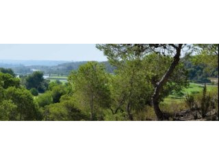 Land For Sale In Campoamor Spsnb0984