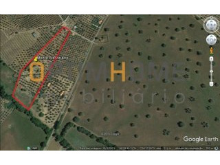 5 Bedrooms Farm For Sale - Portalegre