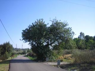 Land - Plot - Area 6000 sqm, Estepona..