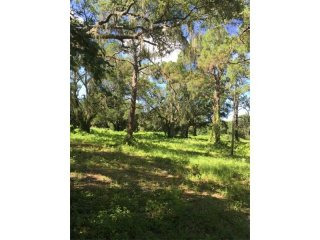 Land For Sale: 3025 Frederick Dr..