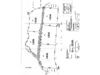 Property For Sale: Woodland Lot 4, St...