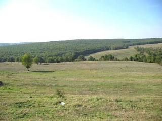 Land in Varna