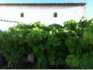 Village house, Jaen, Alcaudete, Casa..