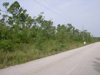 Singlefamilyvacant - Prime open zoned..